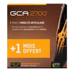 Gca Articulations 12060