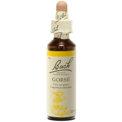 Gorse N°13 Fleur de Bach Original - Flacon de 20ml