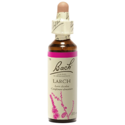 Larch N°19 Fleur de Bach Original - Flacon de 20ml