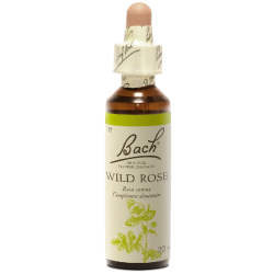 Wild Rose N°37 Fleur de Bach Original - Flacon de&