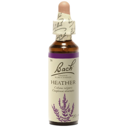 Heather N°14 Fleur de Bach Original - Flacon de 20