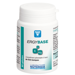 Ergybase Minéraux et Vitamines Sels basiques Zinc Nutergia&#