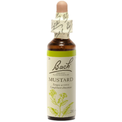 Mustard N°21 Fleur de Bach Original - Flacon de 20