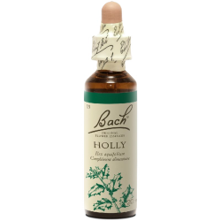 Holly N°15 Fleur de Bach Original - Flacon de 20ml