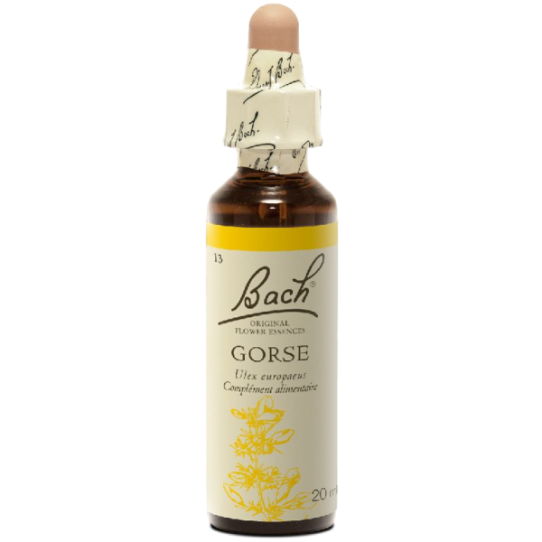 Gorse N°13 Fleur de Bach Original - Flacon de 20ml