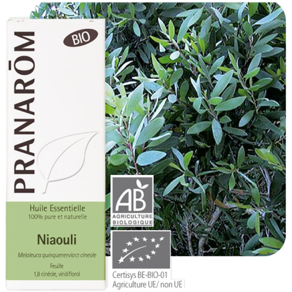 Huile Essentielle Bio Niaouli Pranarôm - 10ml