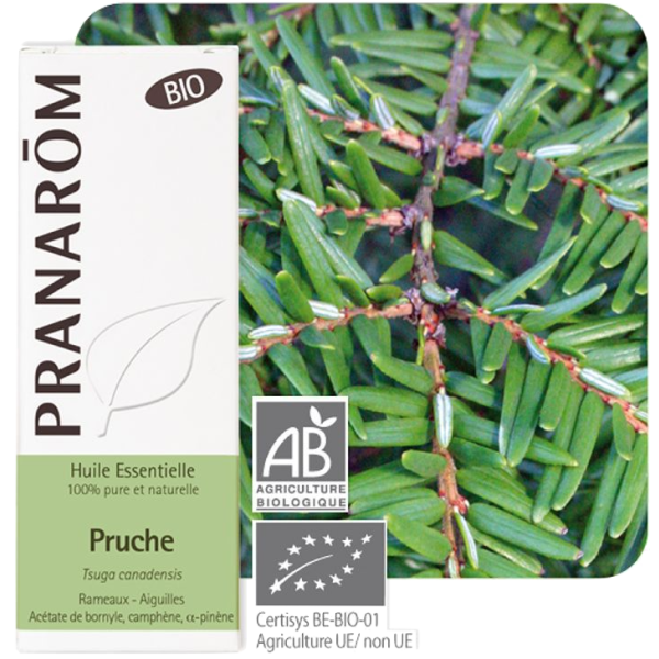 Huile Essentielle Bio Pruche Pranarôm - 5ml