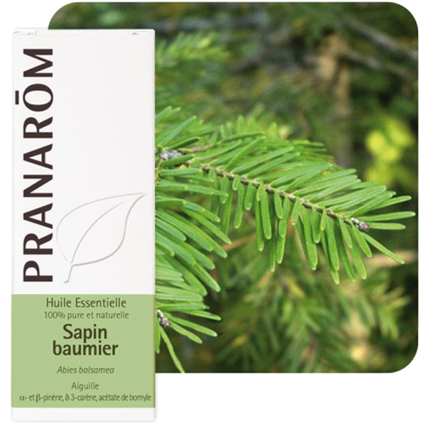 Huile Essentielle Sapin Baumier Pranarôm - 10ml