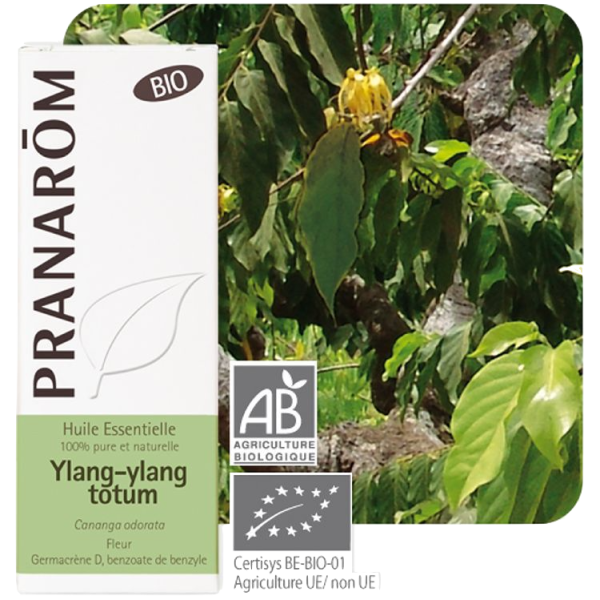 Huile Essentielle Bio Ylang-ylang Totum Pranarôm - 5ml