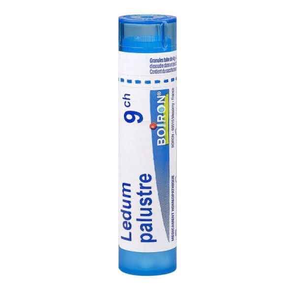 Ledum Palustre 9CH Rocal tube granule