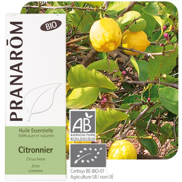 Huile Essentiellle Bio Citronnier Pranarôm - 10ml