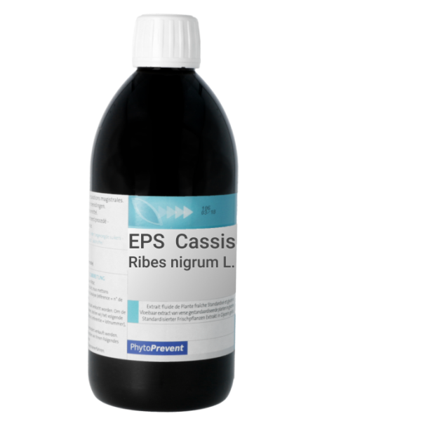 EPS Cassis Plante anti-inflammatoire Pileje