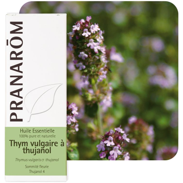 Huile Essentielle Thym vulgaire à Thujanol Pranarôm - 5ml