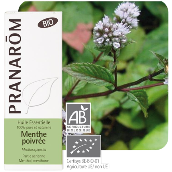 Huile Essentielle Bio Menthe Poivrée Pranarôm - 5ml