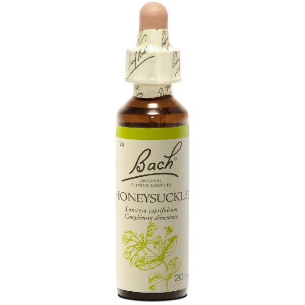 Honeysuckle N°16 Fleur de Bach Original - Flacon de 20ml