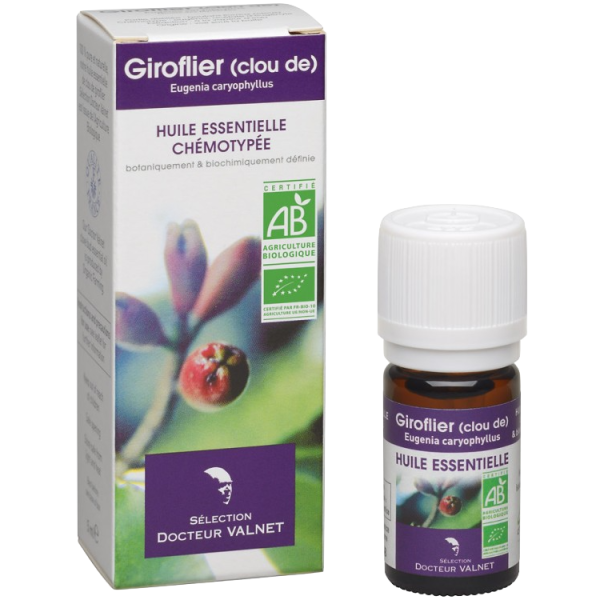 Huile Essentielle Biologique Giroflier (clou de) Docteur Valnet - 5ml