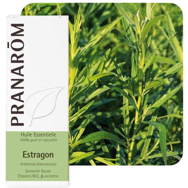 Huile Essentielle Estragon Pranarôm - 5ml