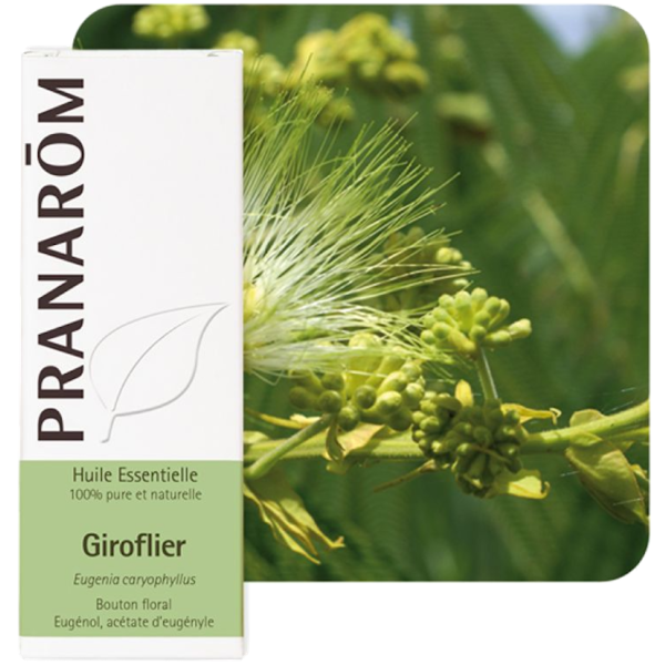 Huile Essentielle Giroflier Pranarôm - 10ml