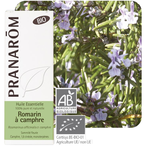 Huile Essentielle Bio Romarin à Camphre Pranarôm - 10ml