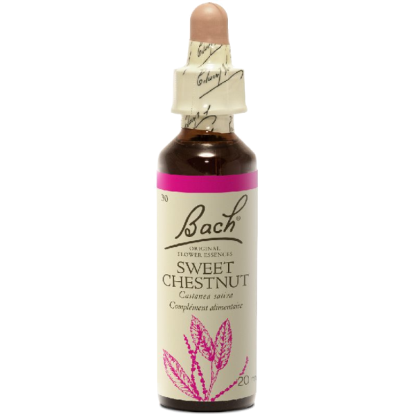 Sweet Chestnut N°30 Fleur de Bach Original - Flacon de 20ml