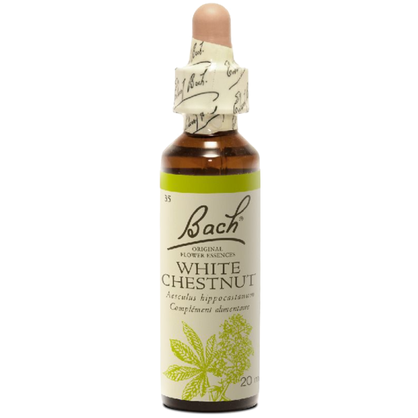 White Chestnut N°35 Fleur de Bach Original - Flacon de 20ml